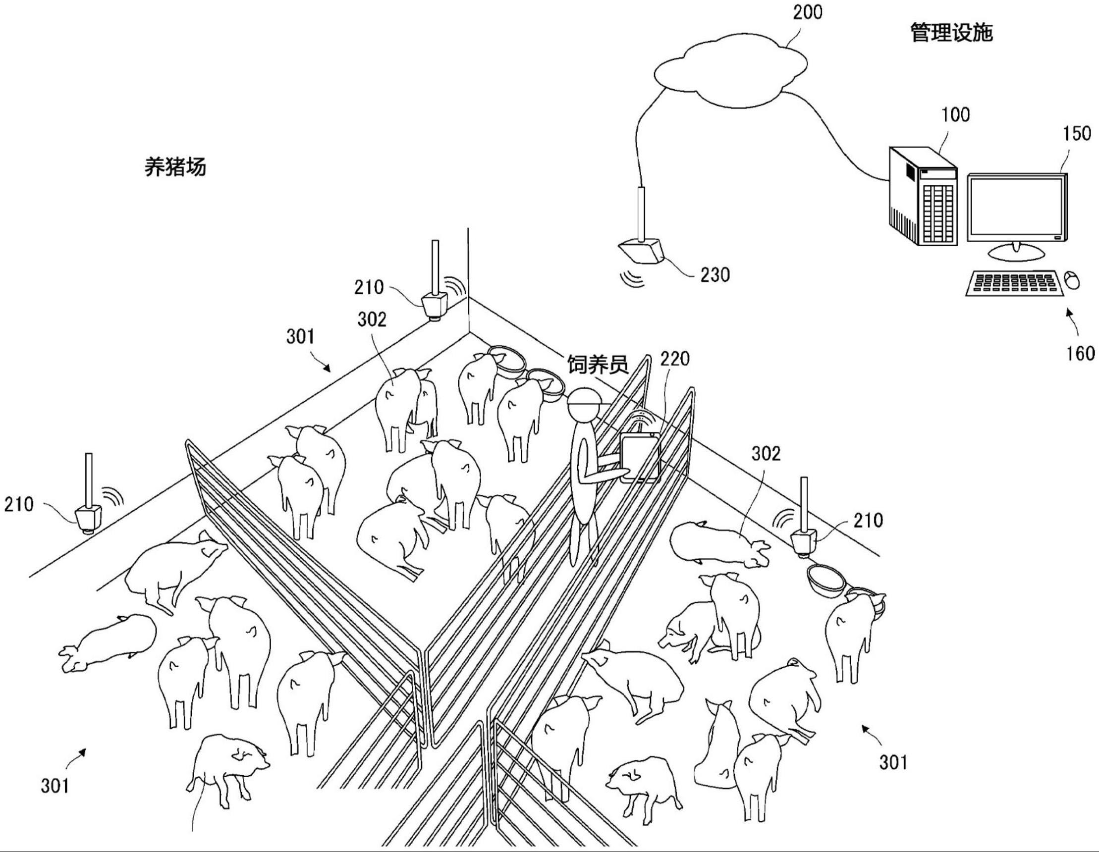 猪饲养辅助装置、猪饲养辅助方法以及猪饲养辅助程序与流程